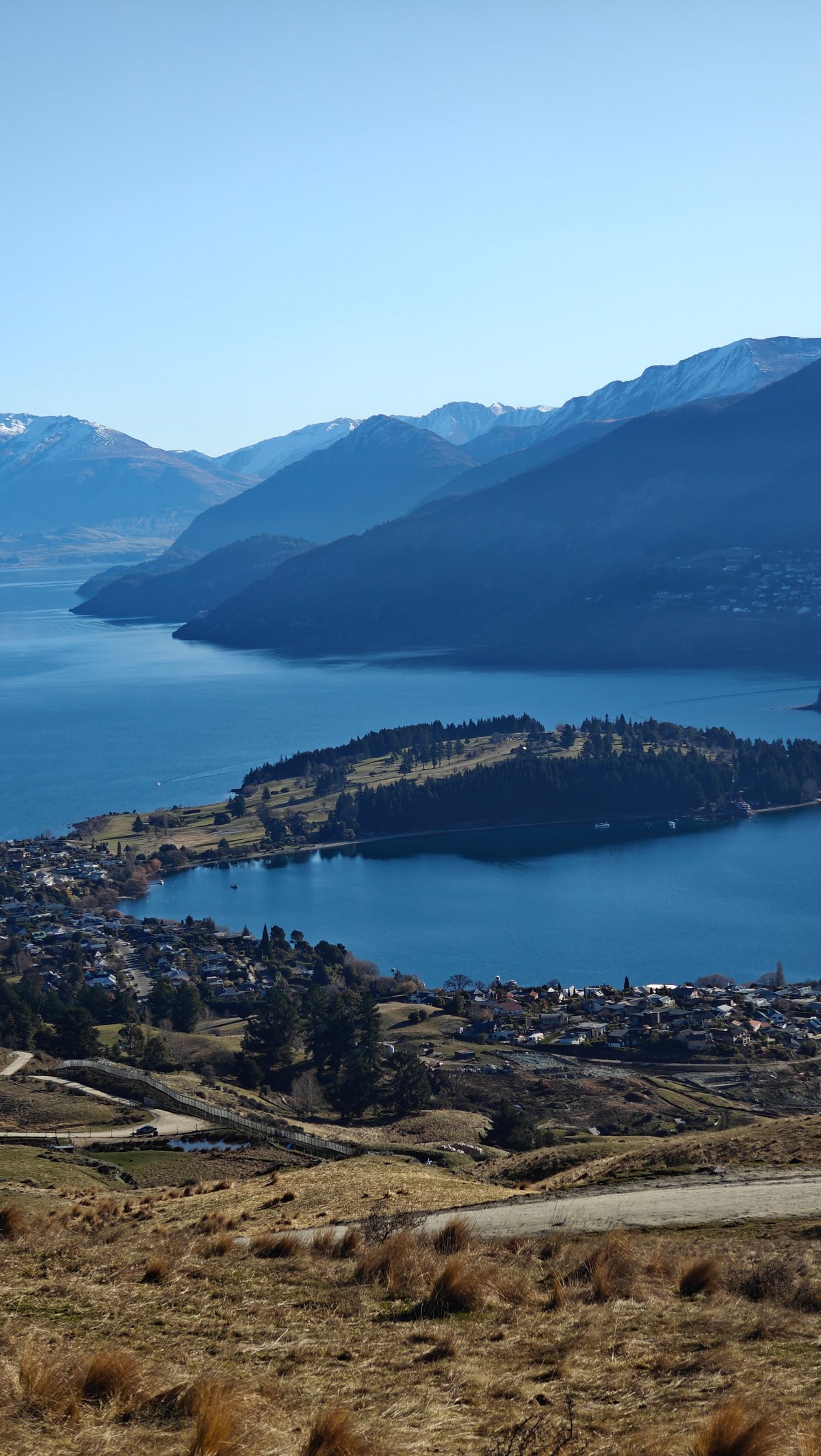 Queenstown and lake with deer