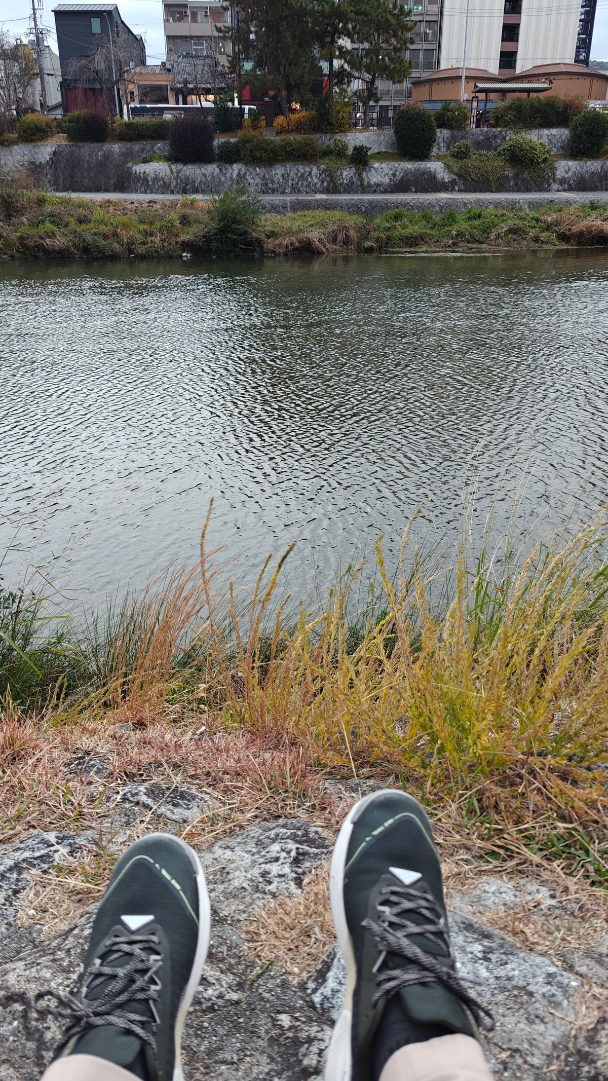 Quiet pause beside the winter river