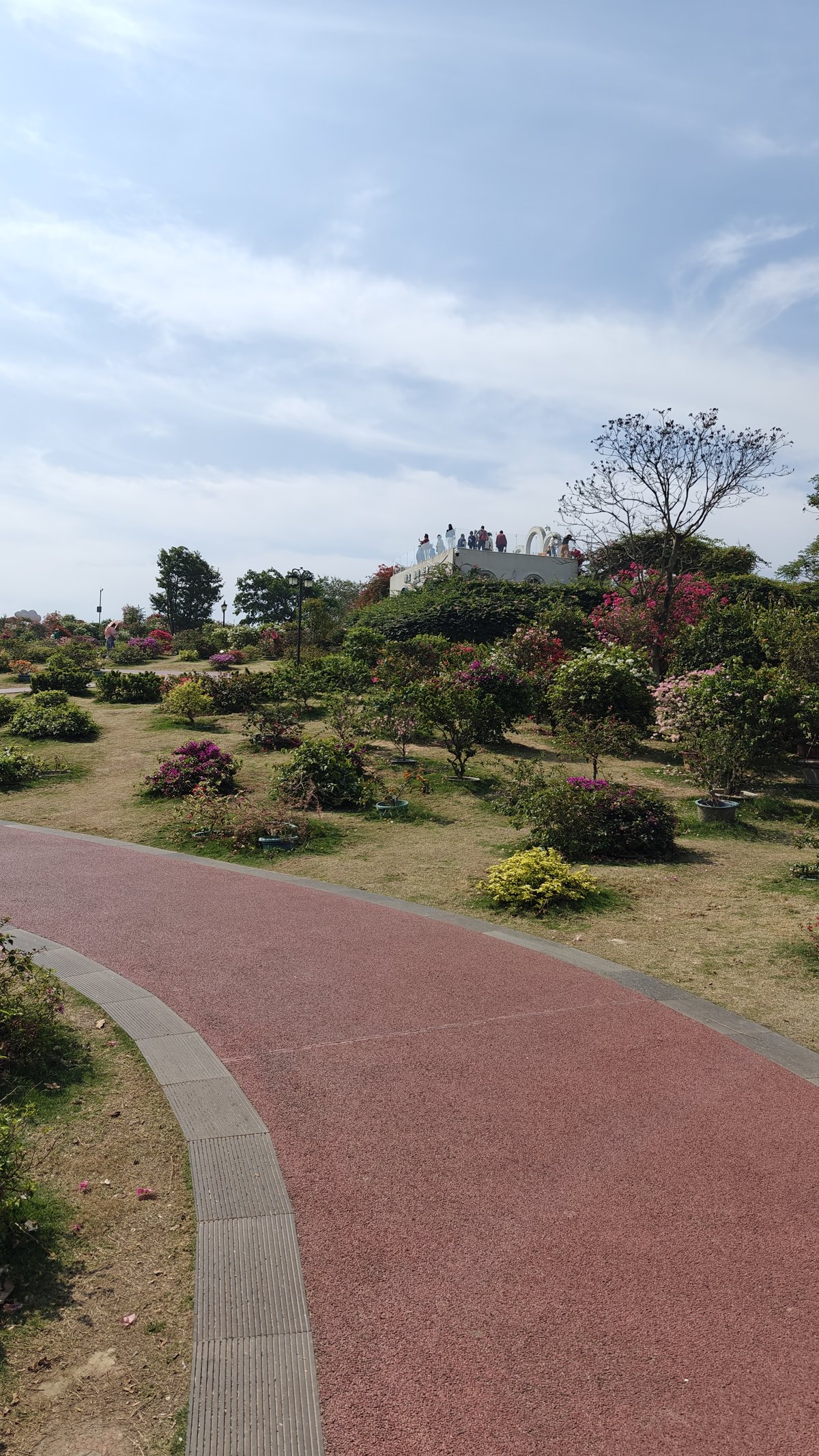 Red path through bougainvillea garden