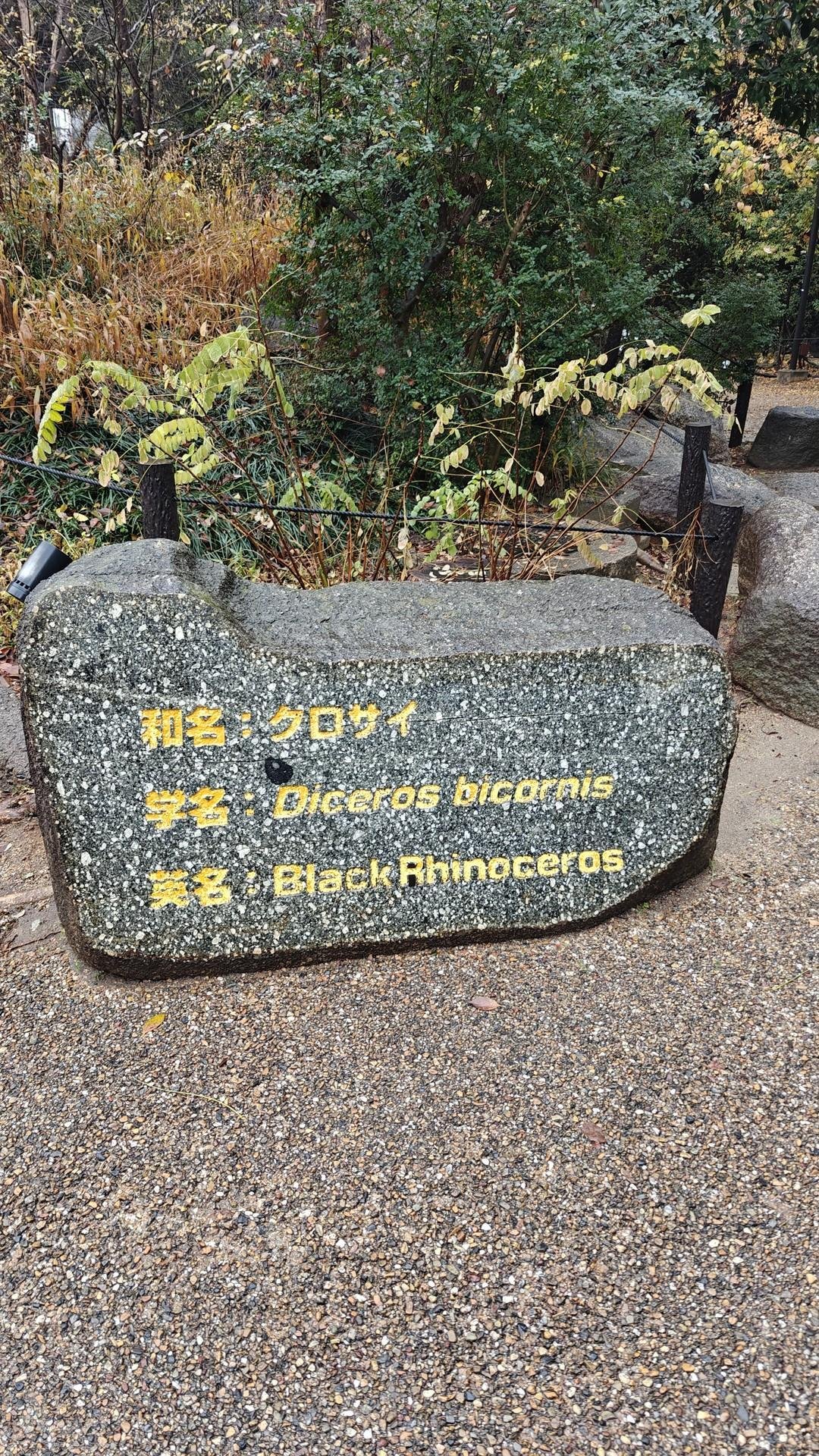 Rock sign with plant background