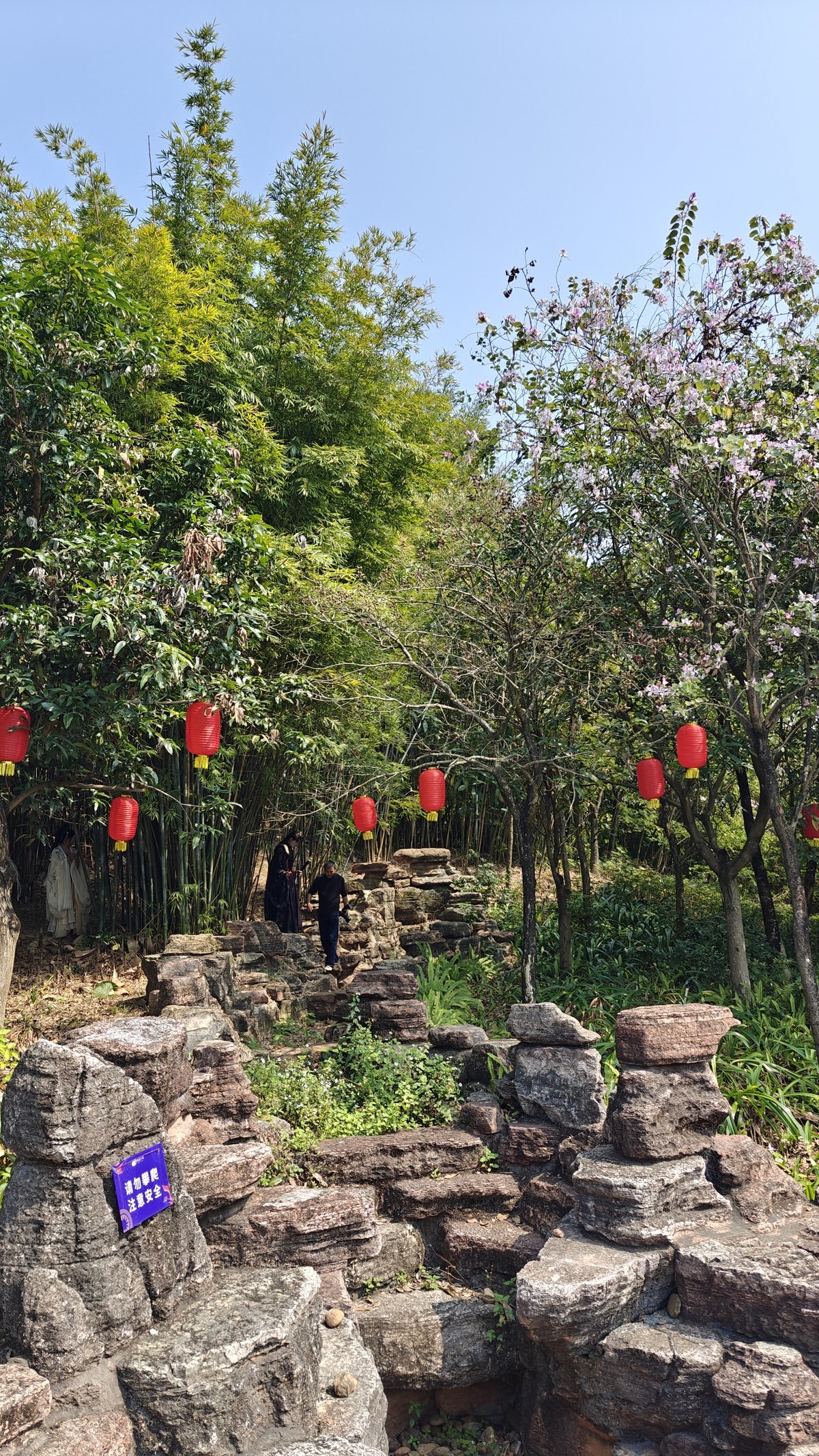 Rocky garden path with red lanterns hung along
