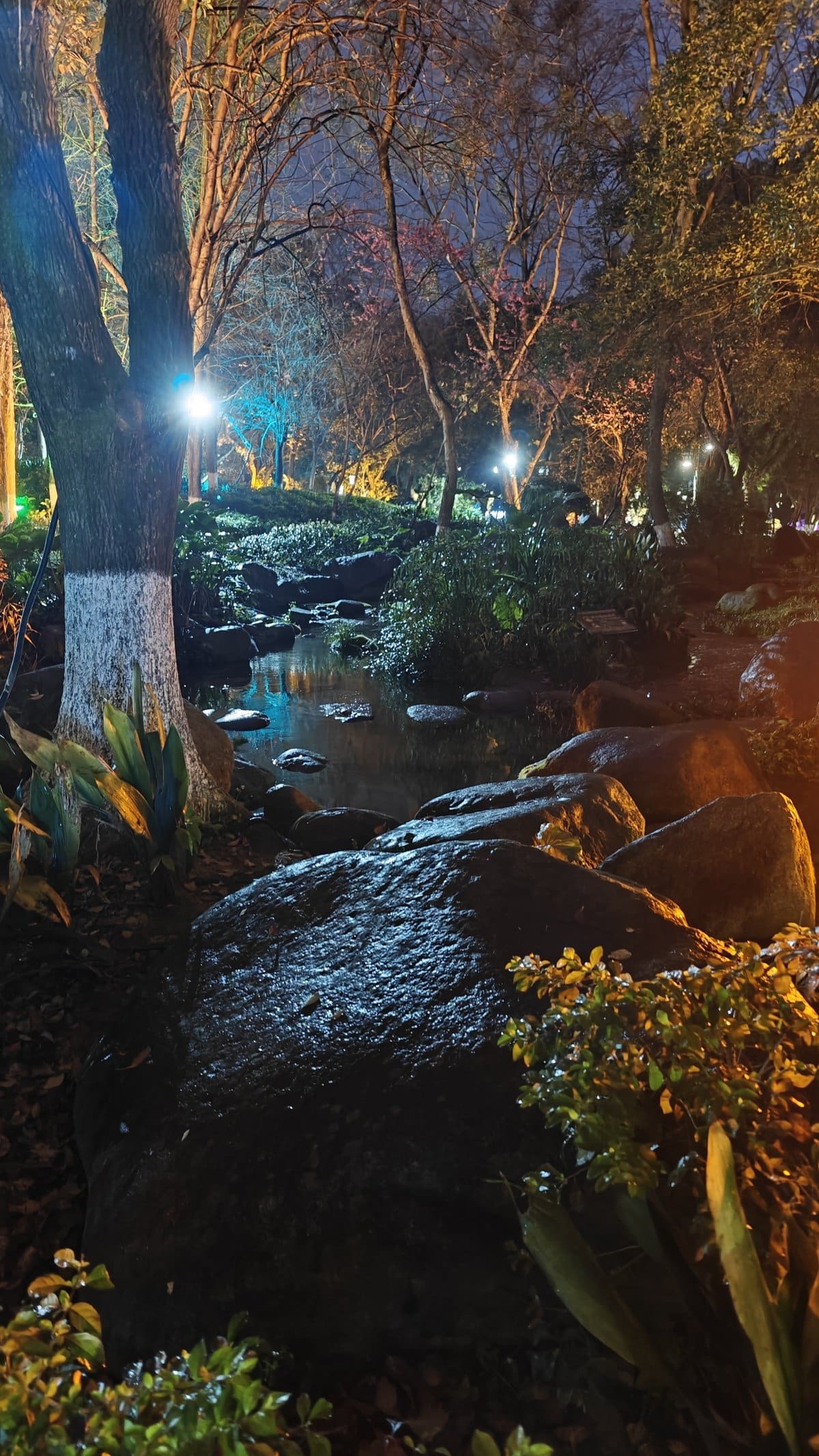 Rocky stream through lit park