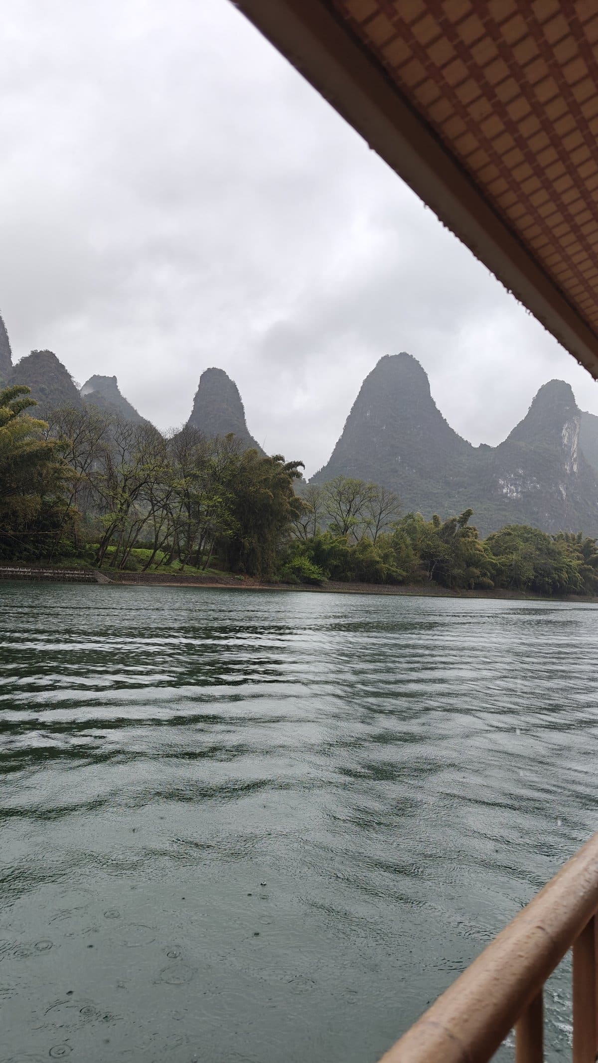 Row of peaks framed by canopy