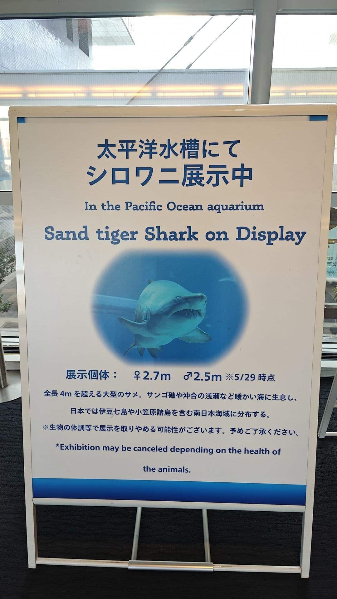 Sand tiger shark exhibit sign