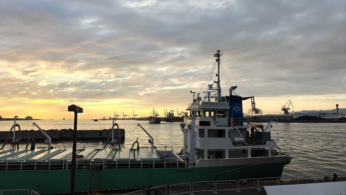 Ship in harbor at sunrise with cranes