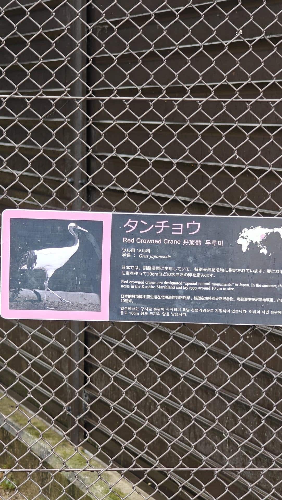 Sign with Red Crowned Crane info