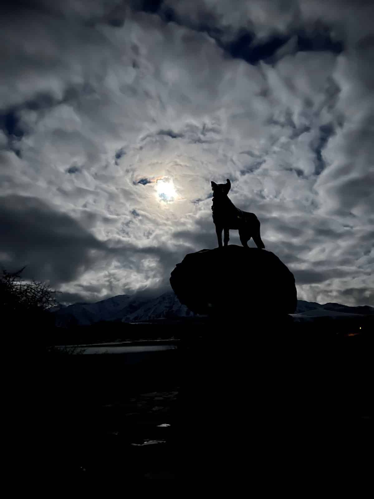 Silhouette of the statue with the sun glowing
