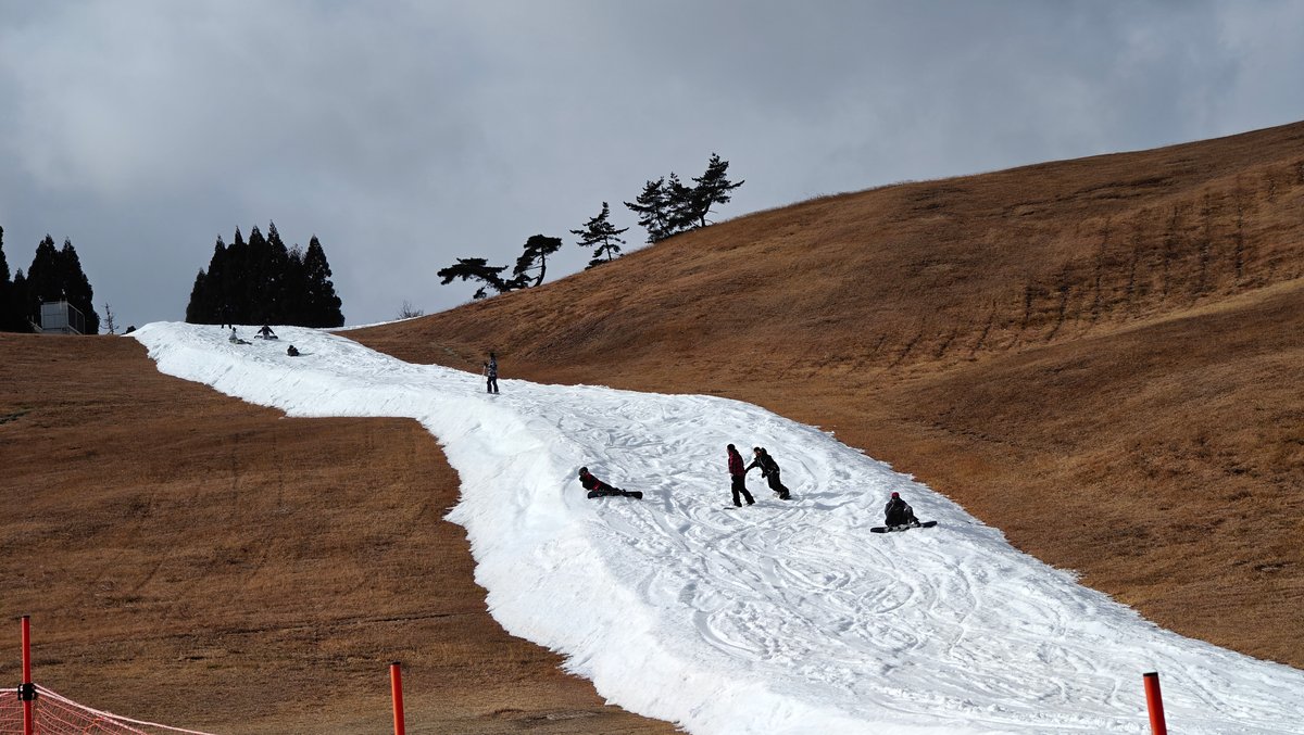 Skiers on narrow snow run