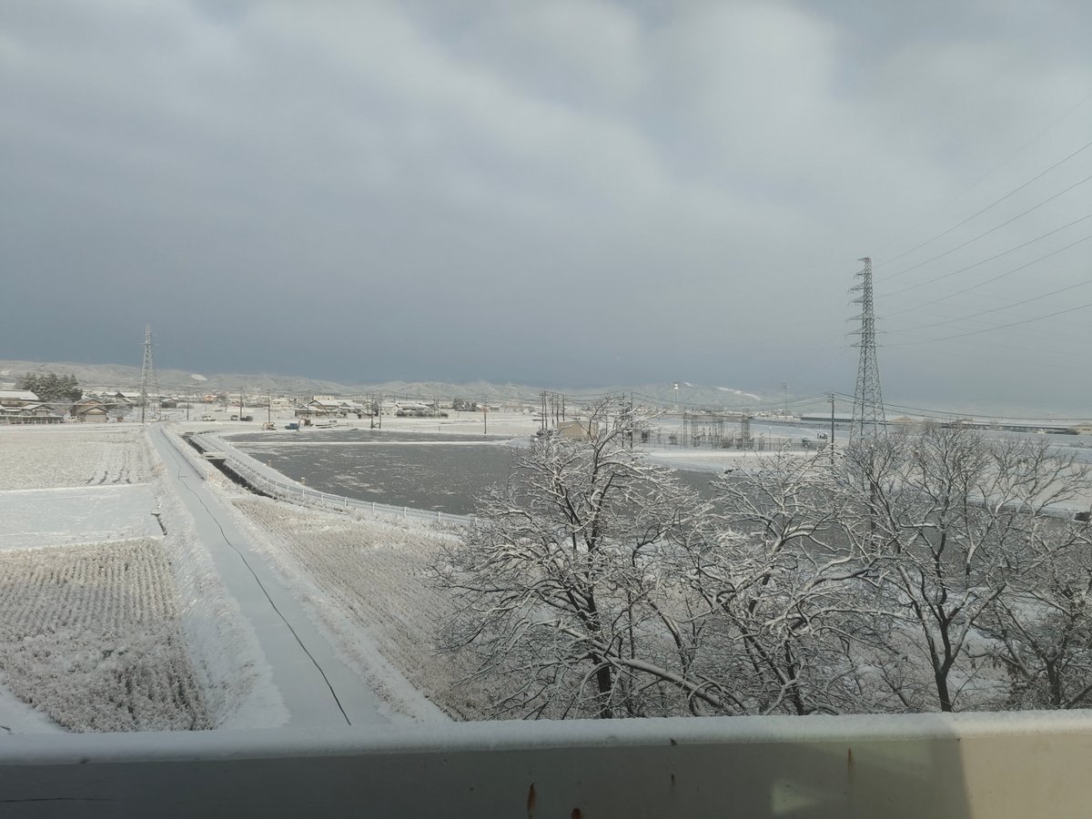 Snow-blanketed agricultural fields with a distant electricity pylon,
