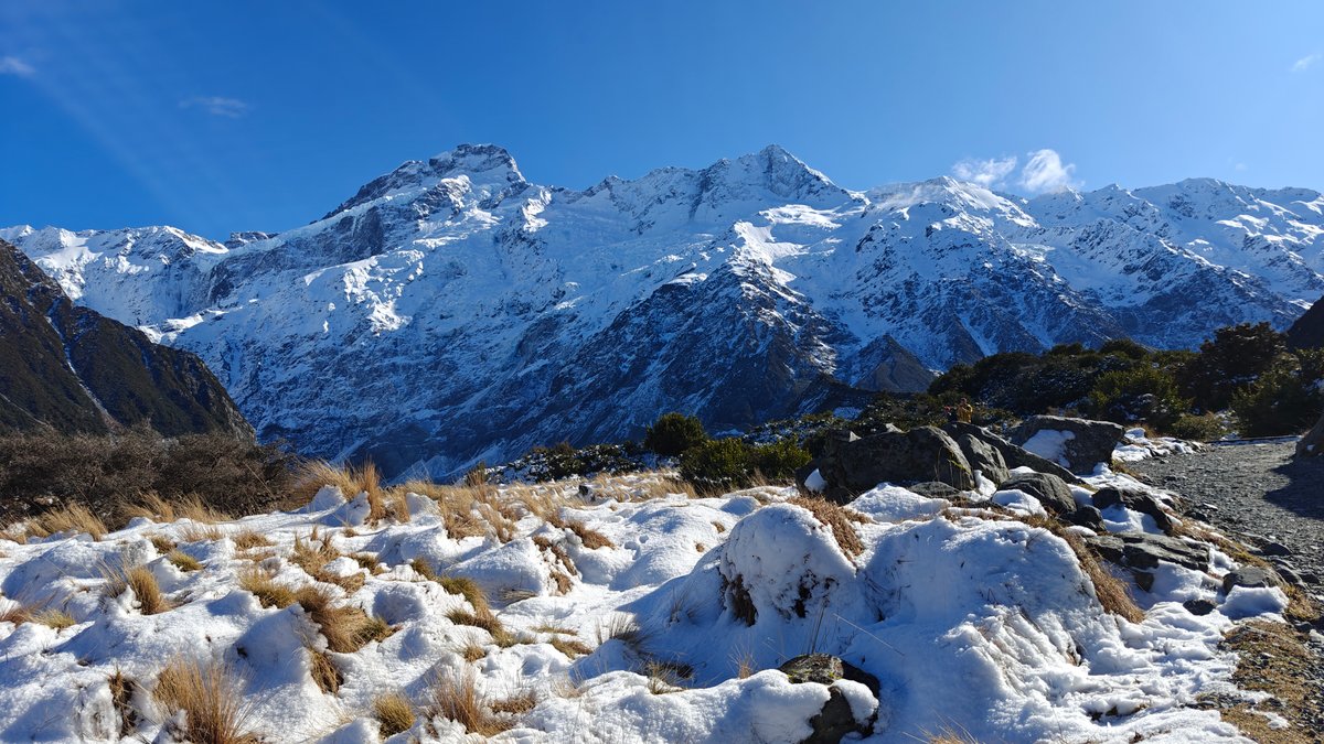 Snow mountains over tussock