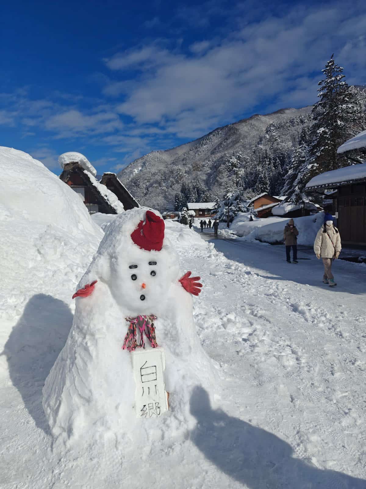 Snowman in red hat and scarf