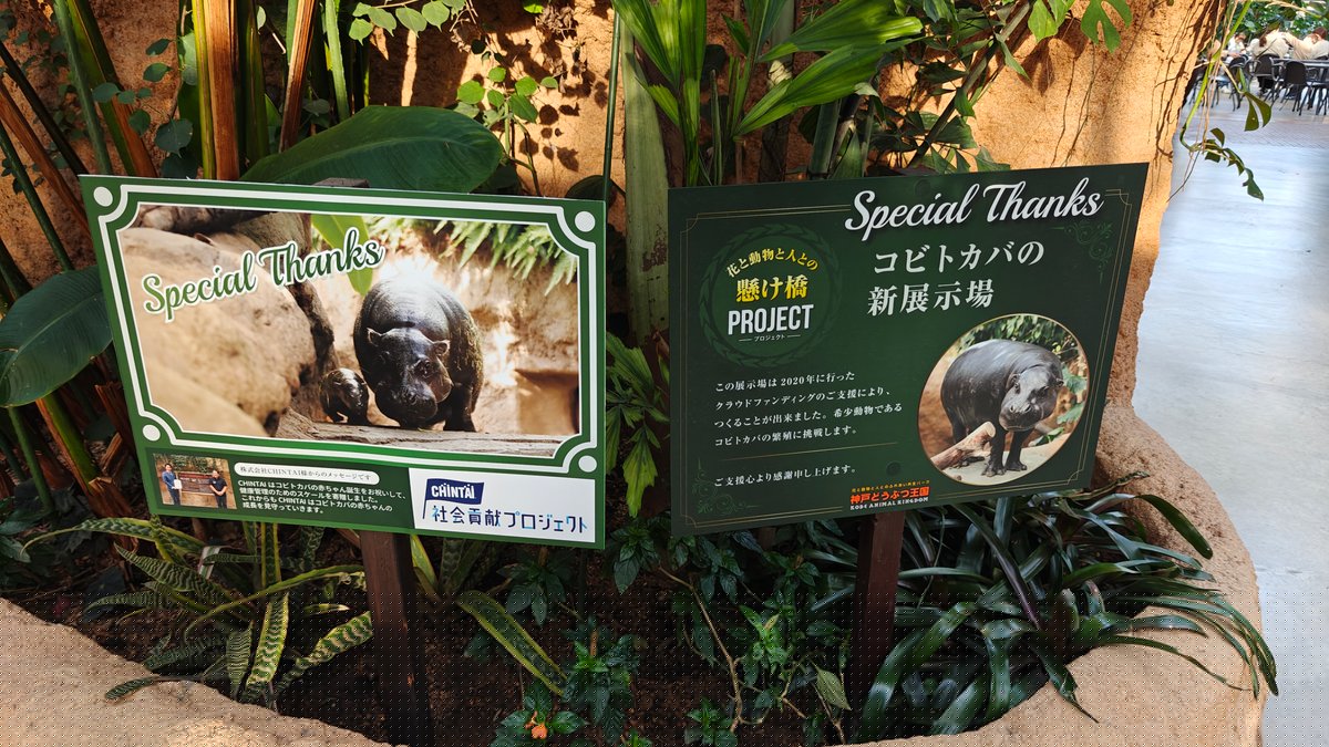 Special Thanks signs for コビトカバの新展示場 (the pygmy hippo's