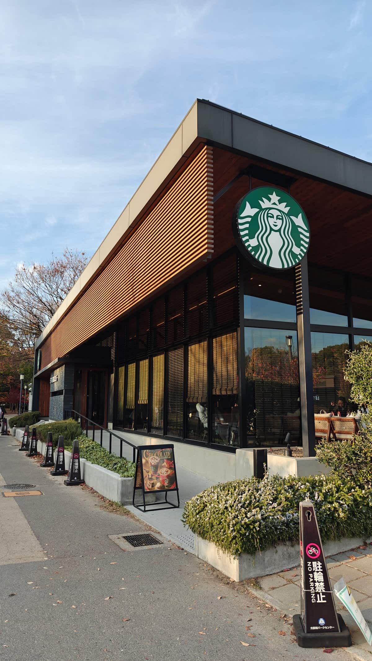 Starbucks store in the park with wooden slat