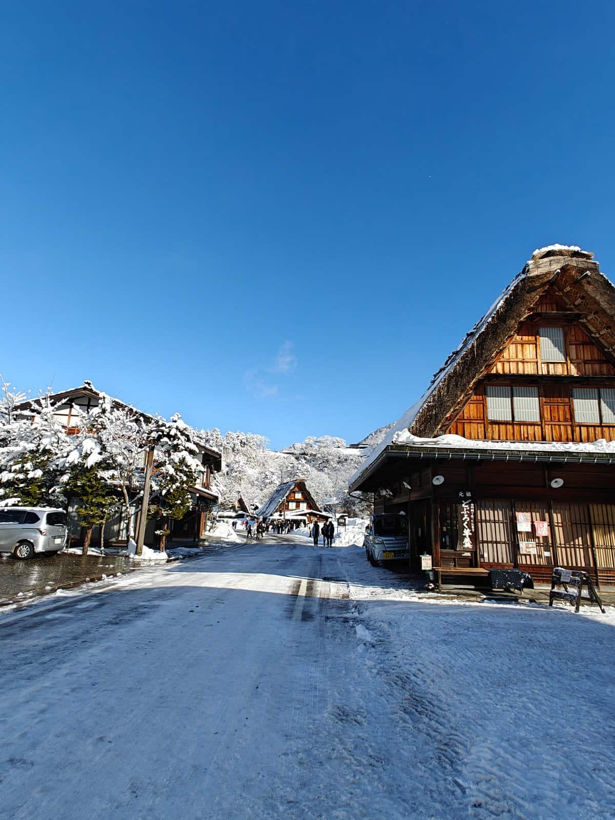 Steep snow-covered thatched roof