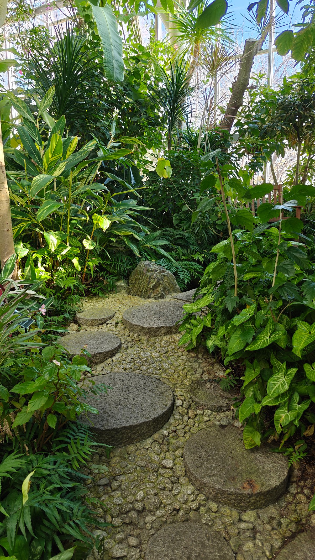 Stepping-stone greenhouse path