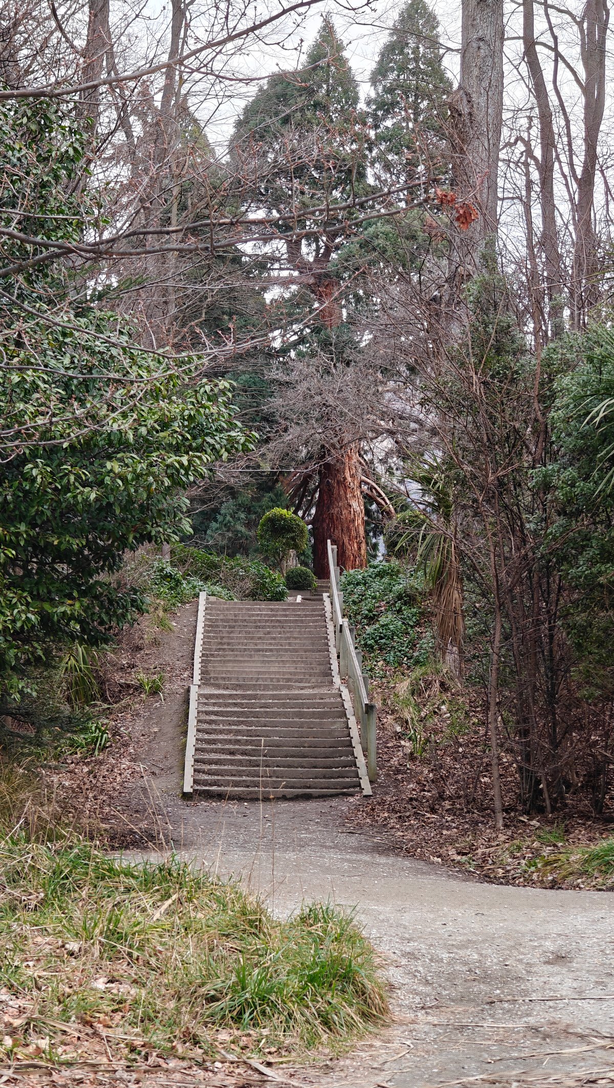 Stone garden steps climbing up through bare winter