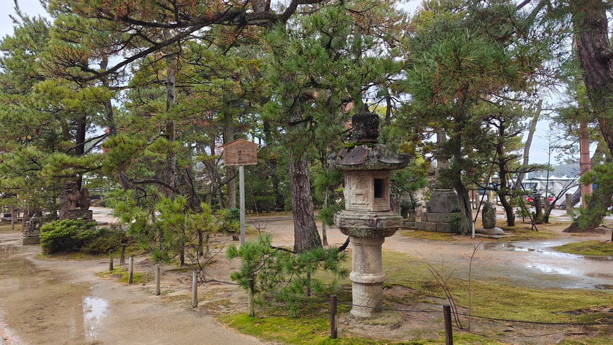 Stone lantern among the pines in the temple