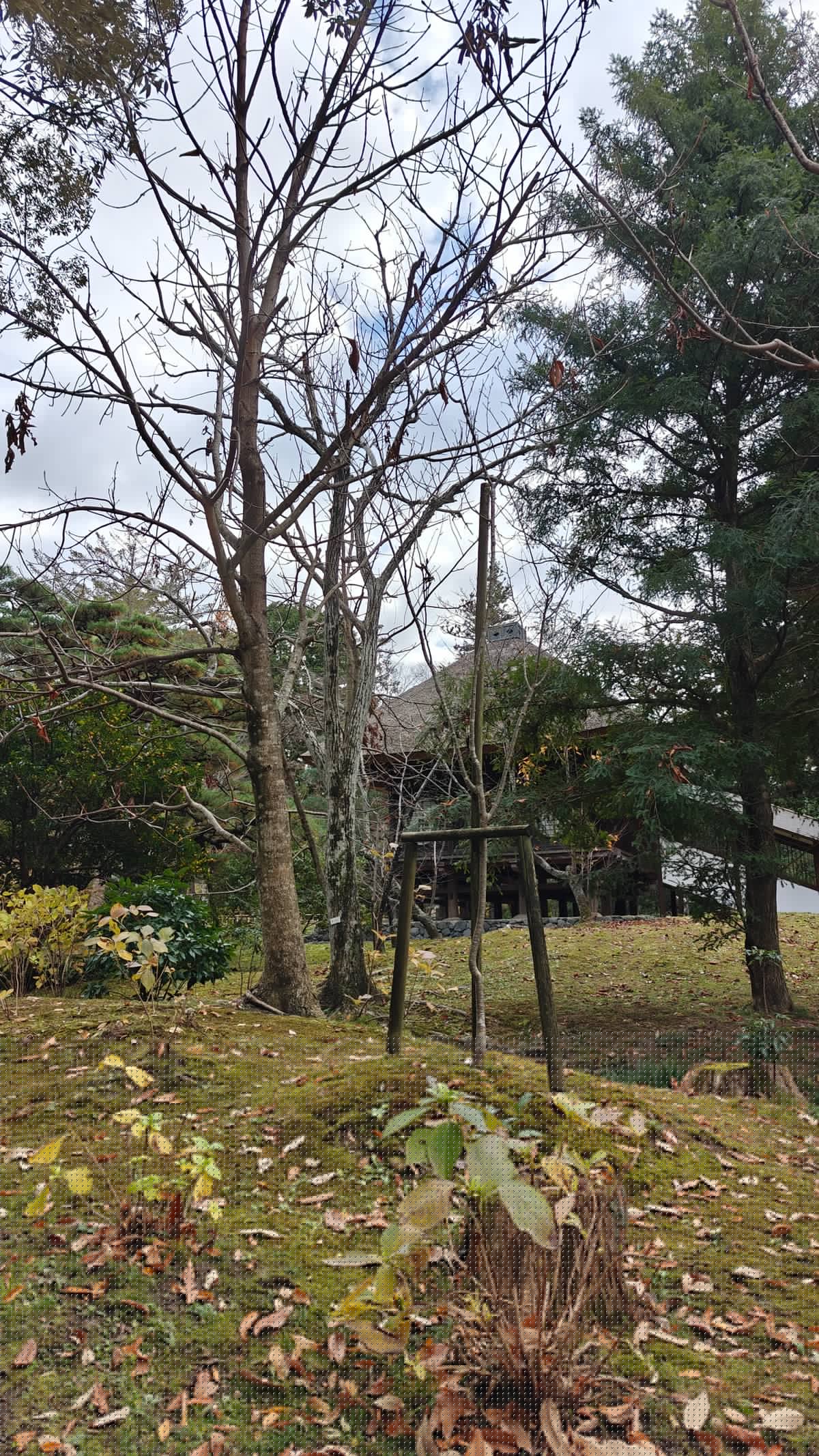Stone lantern beside still pond