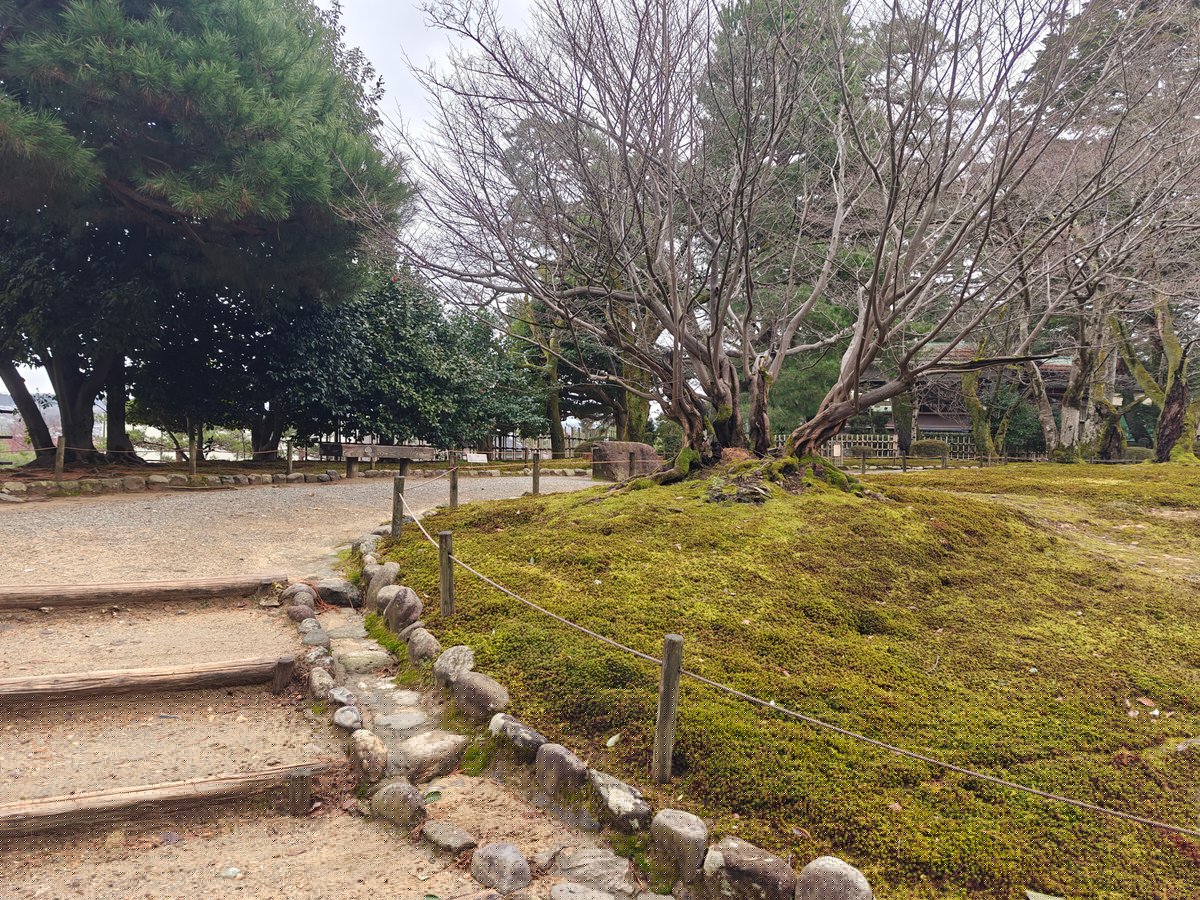 Stone steps beside a moss lawn dotted with