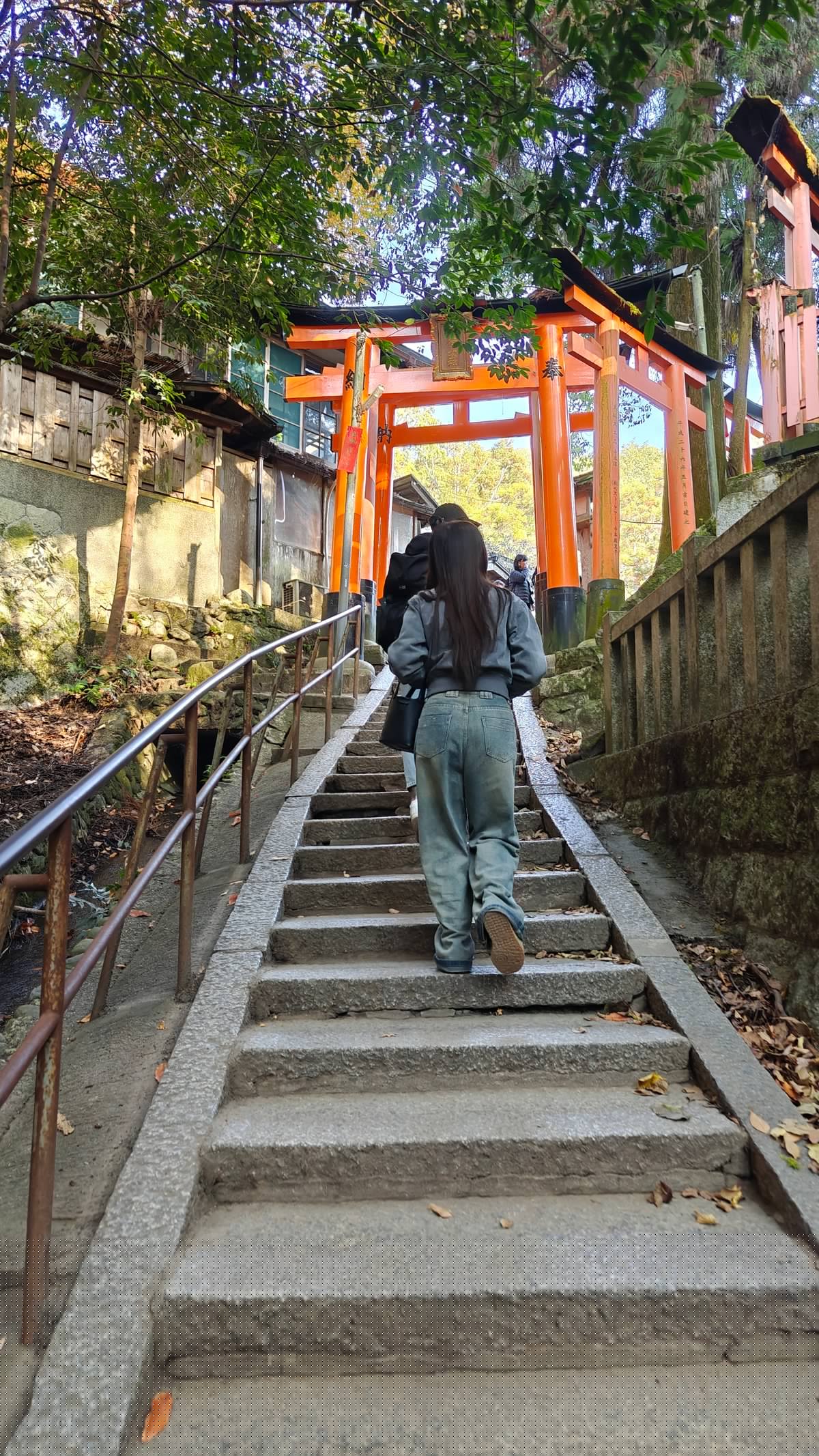 Stone steps wooded mountain hike