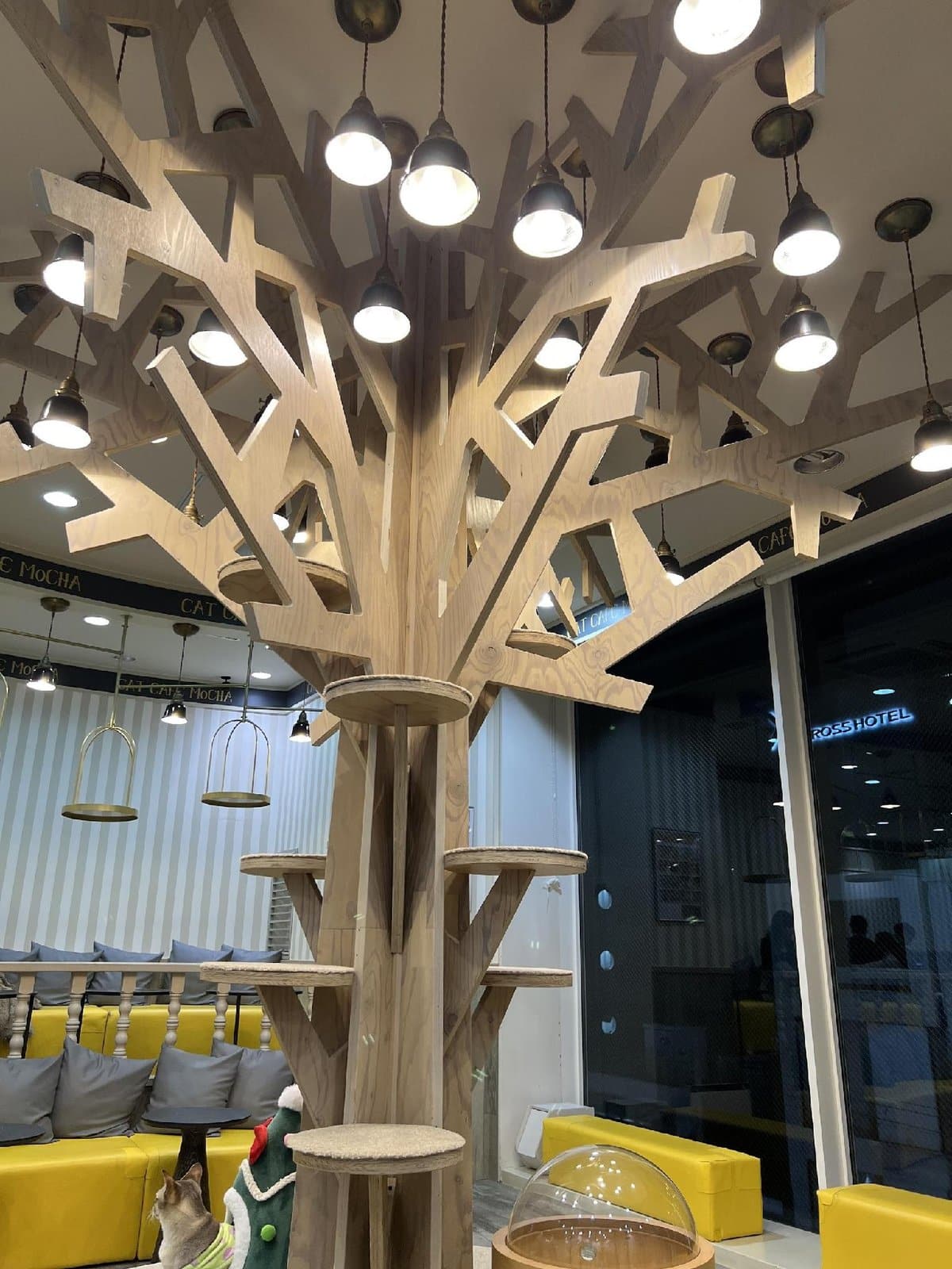 Stylish cat cafe with tree structure