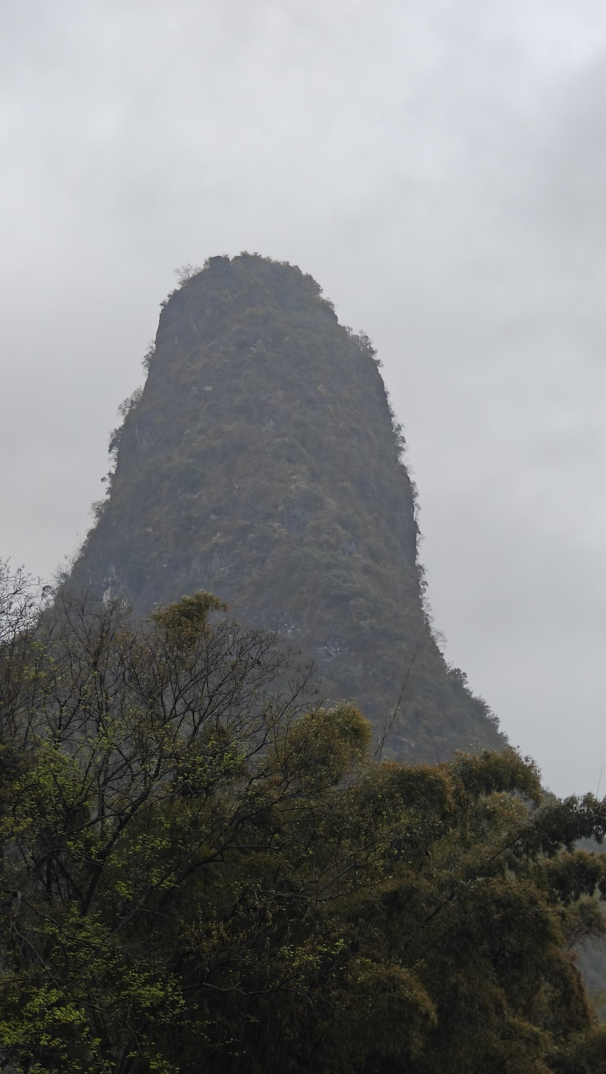 Tall peak rising from vegetation