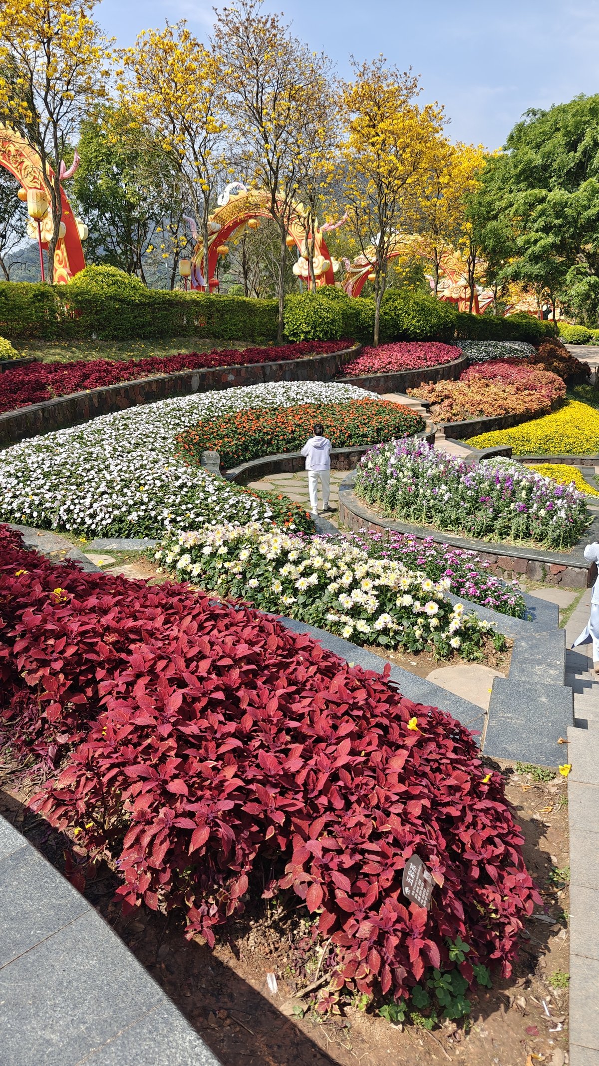 Terraced colorful flower beds