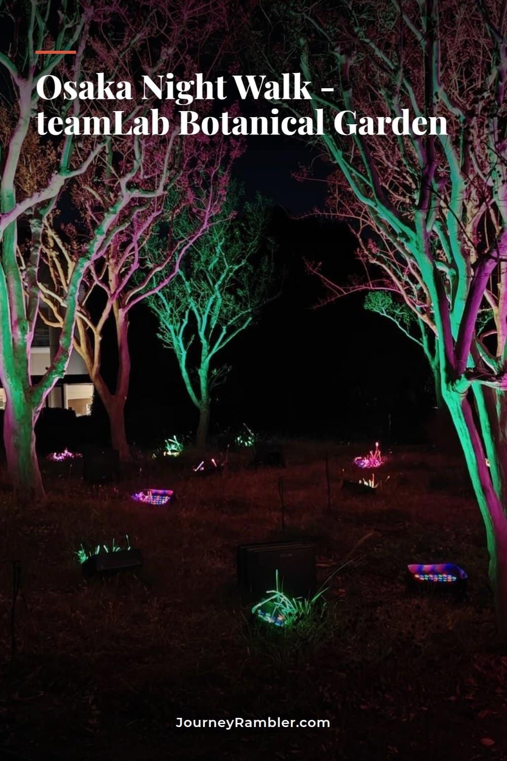 The Most Beautiful Night Walk in Osaka - teamLab Botanical Garden