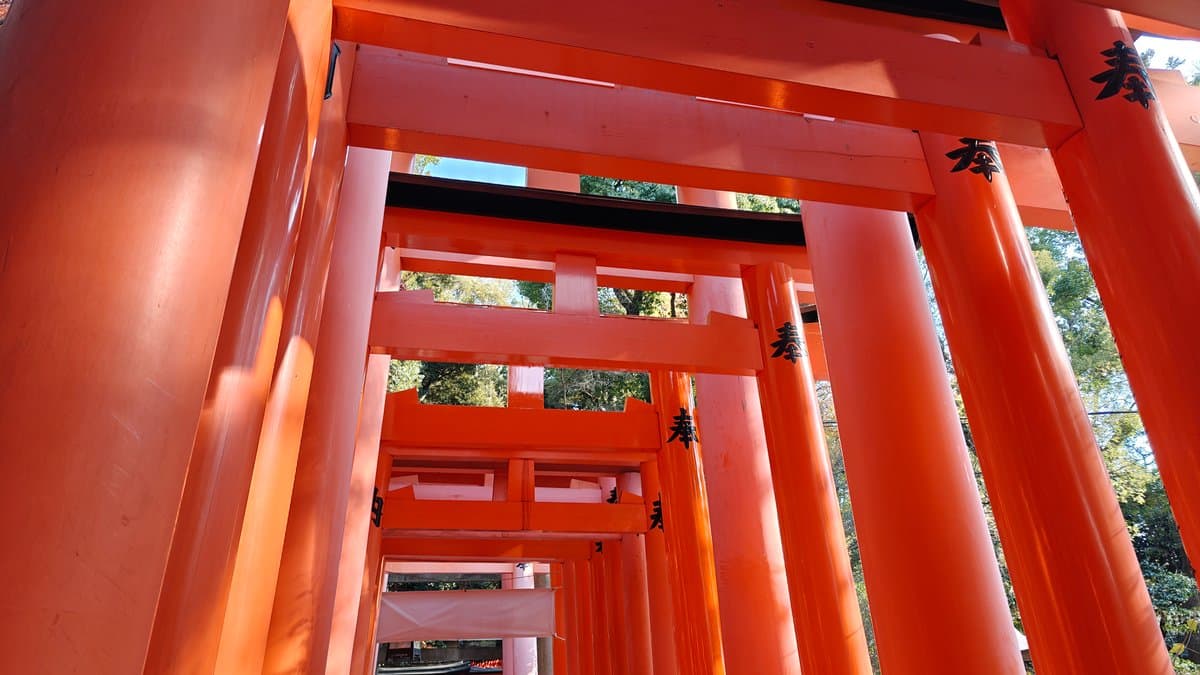 Torii columns black donor names