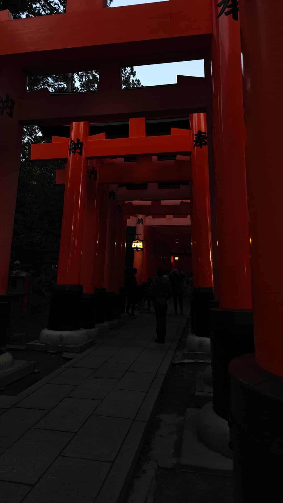 Torii dusk illuminated lantern