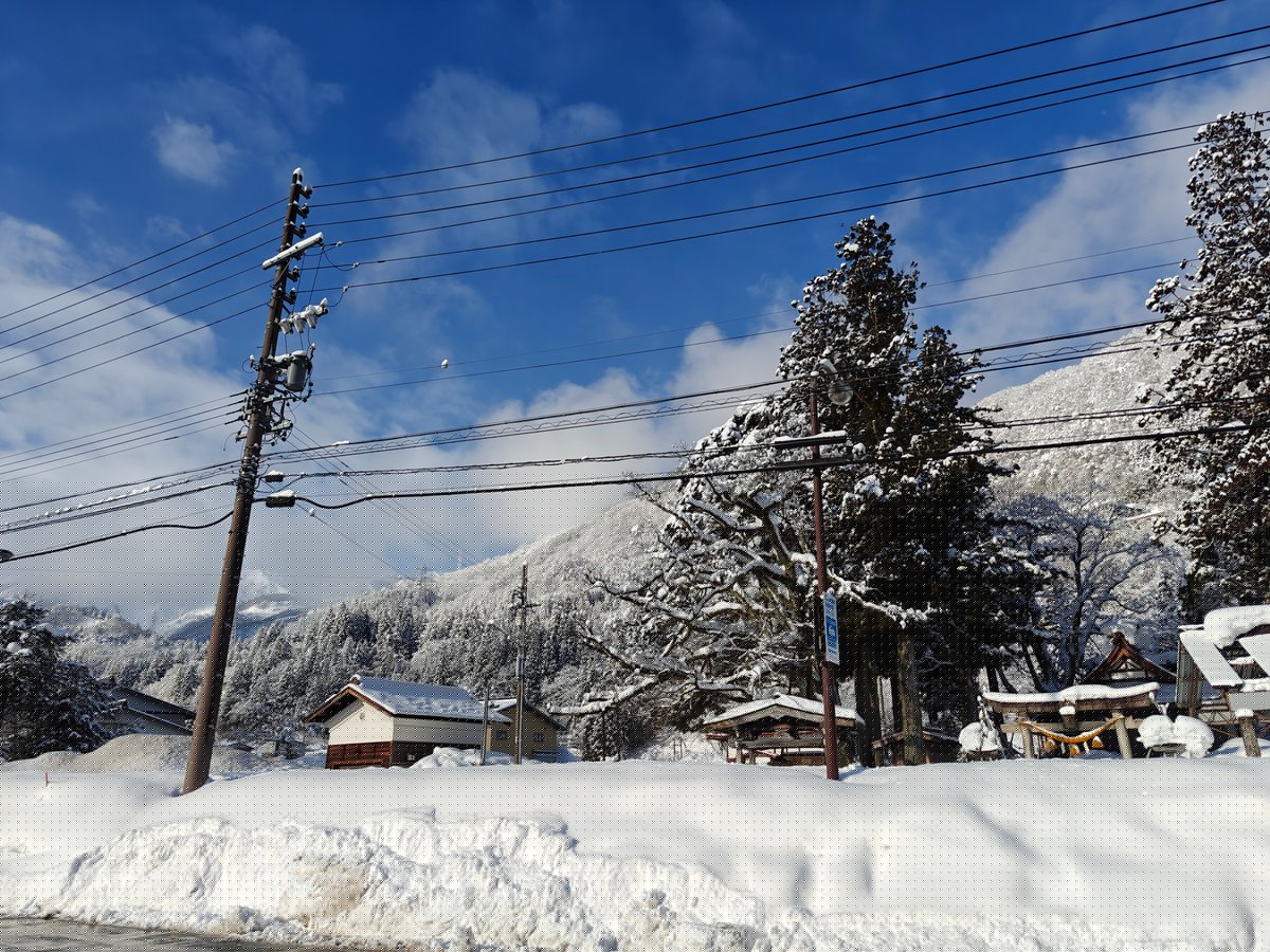 Torii gate among snowy trees