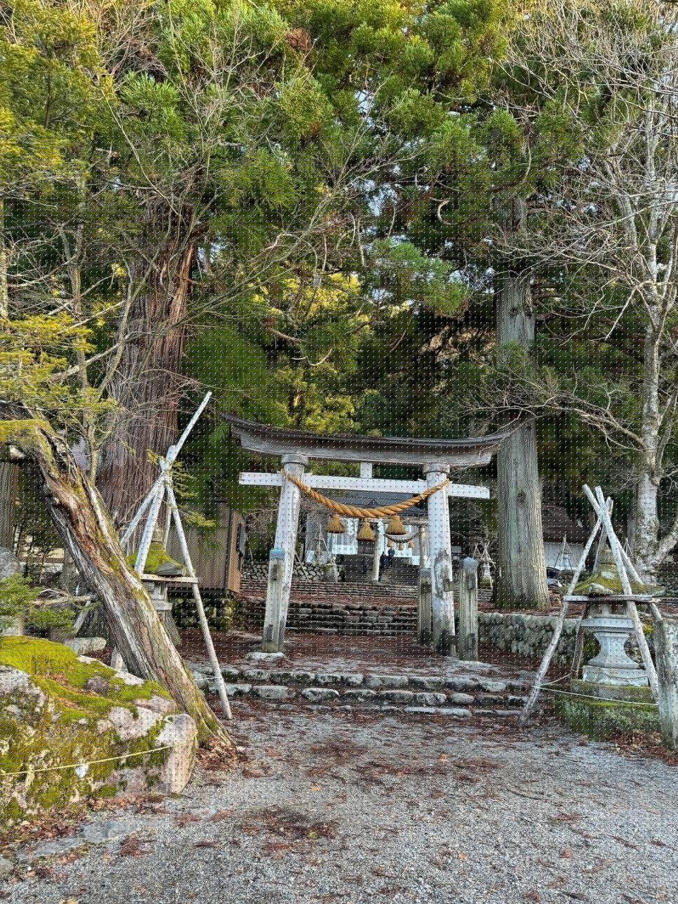 Torii gate up stone steps