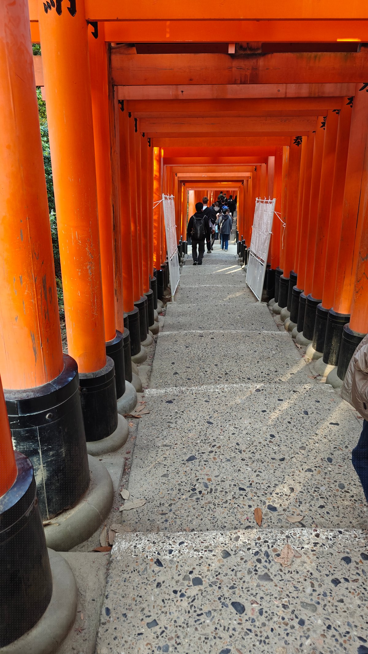 Torii tunnel over stone steps