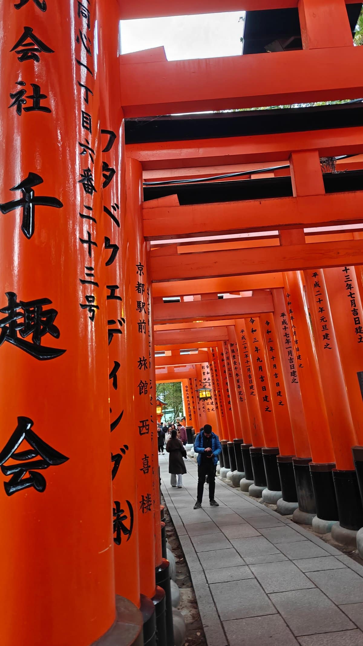 Torii tunnel rear donor calligraphy