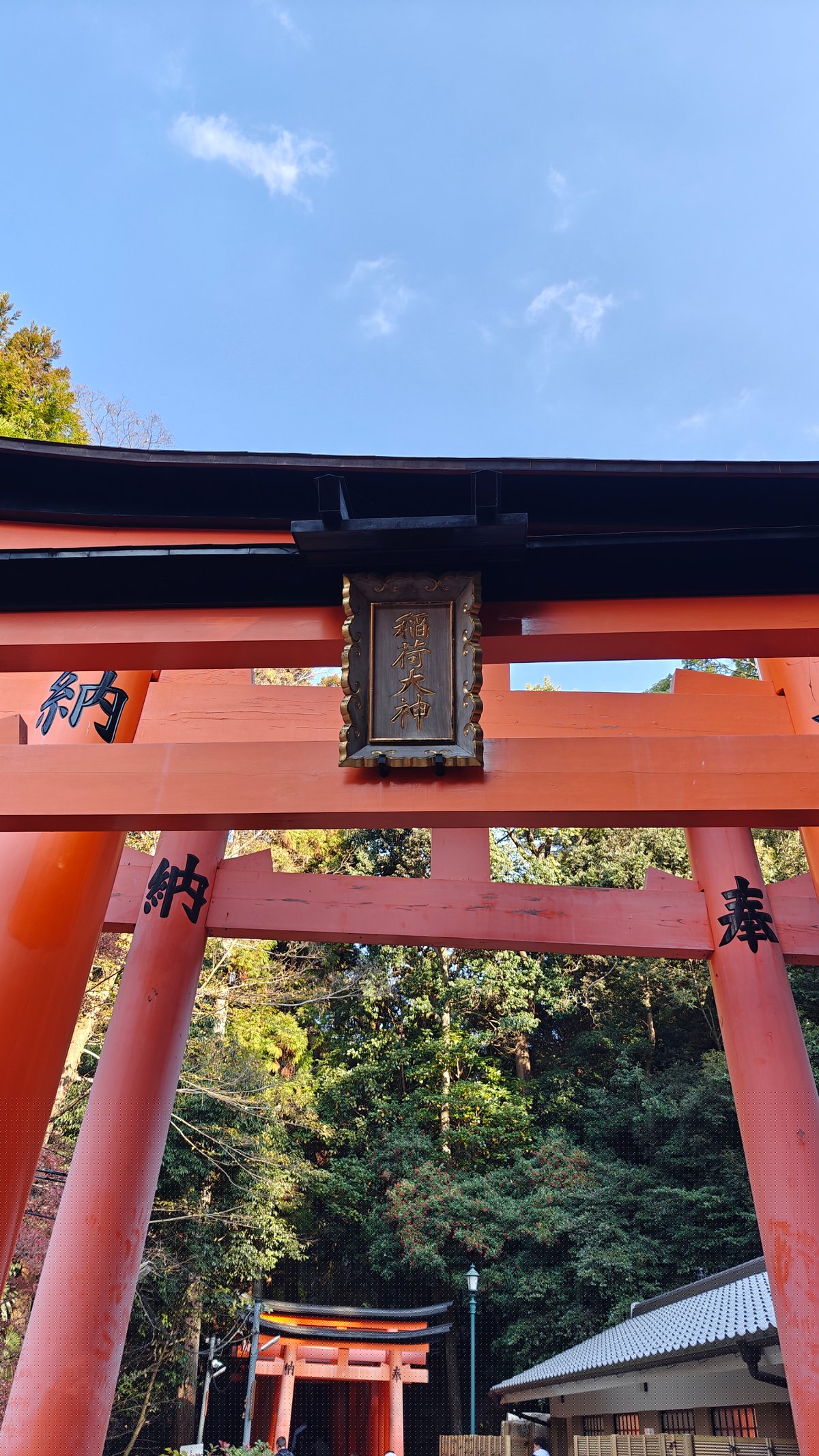 Torii with a hanging plaque amid the forest