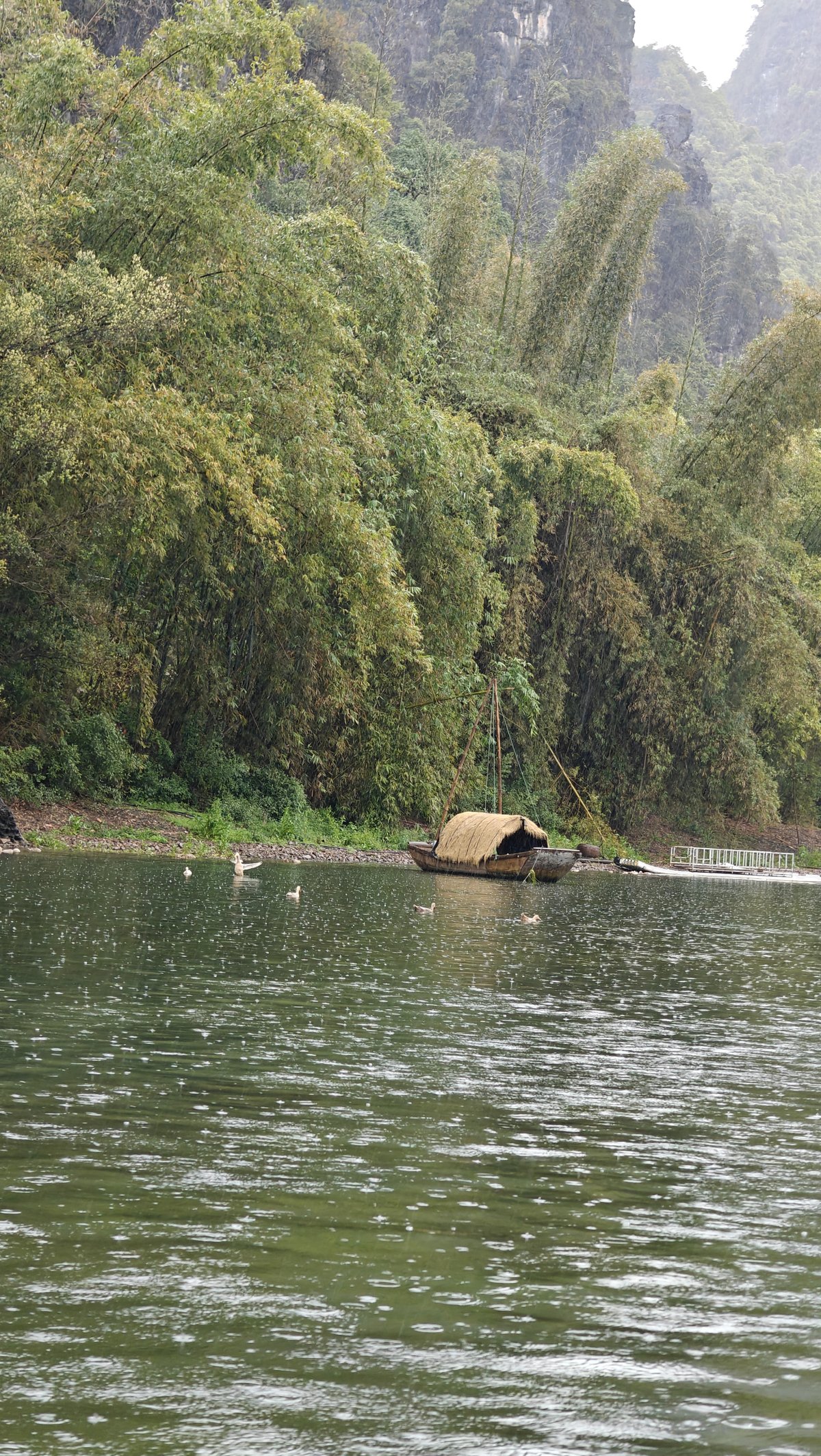 Traditional fishing boat and ducks