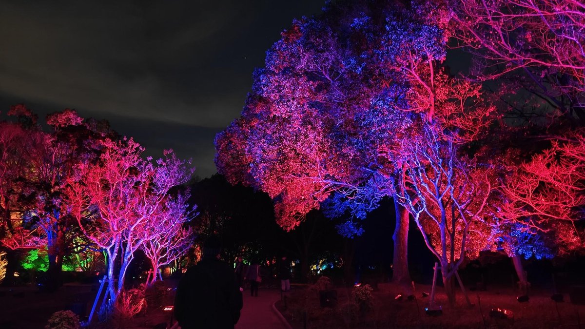 Trees lit in vibrant pink and blue colors
