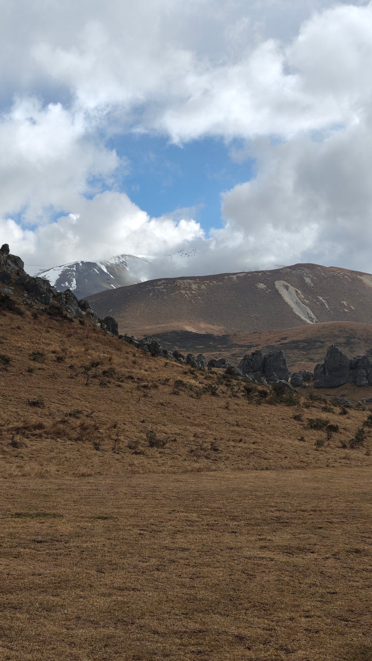 Tussock to snow-streaked range