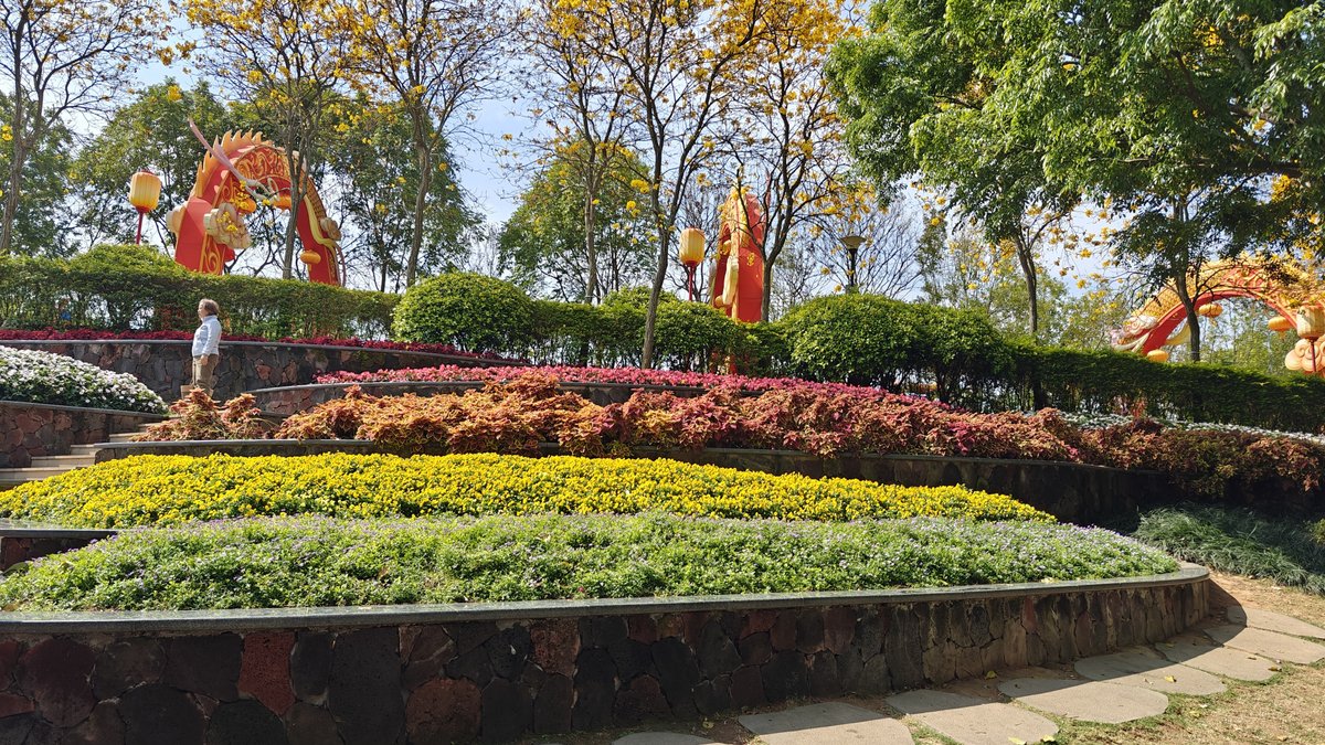 Upper terrace with dragon lanterns