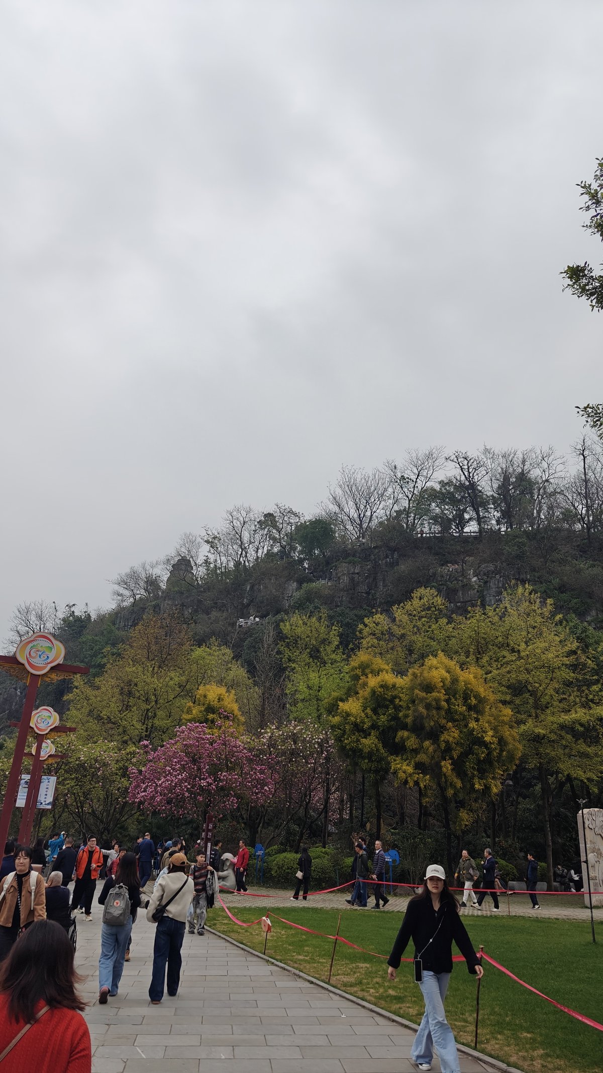 Vertical shot of pathway with cherry blossoms, visitors