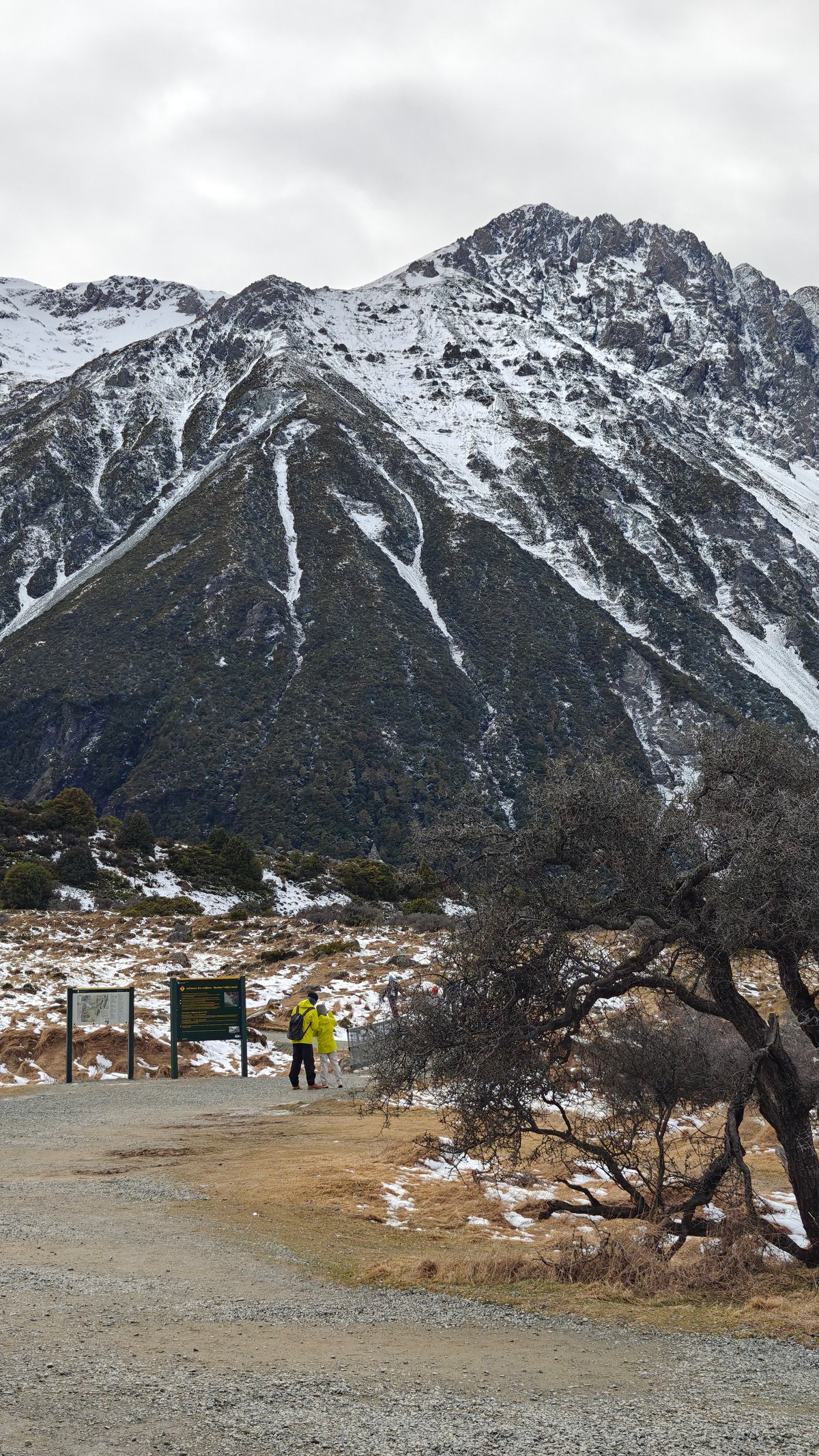 Vertical view at the trailhead with a walker