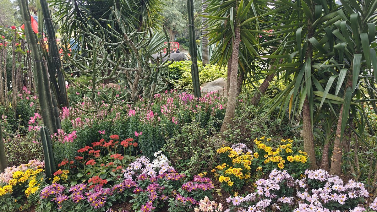 Vibrant flower beds and daisies