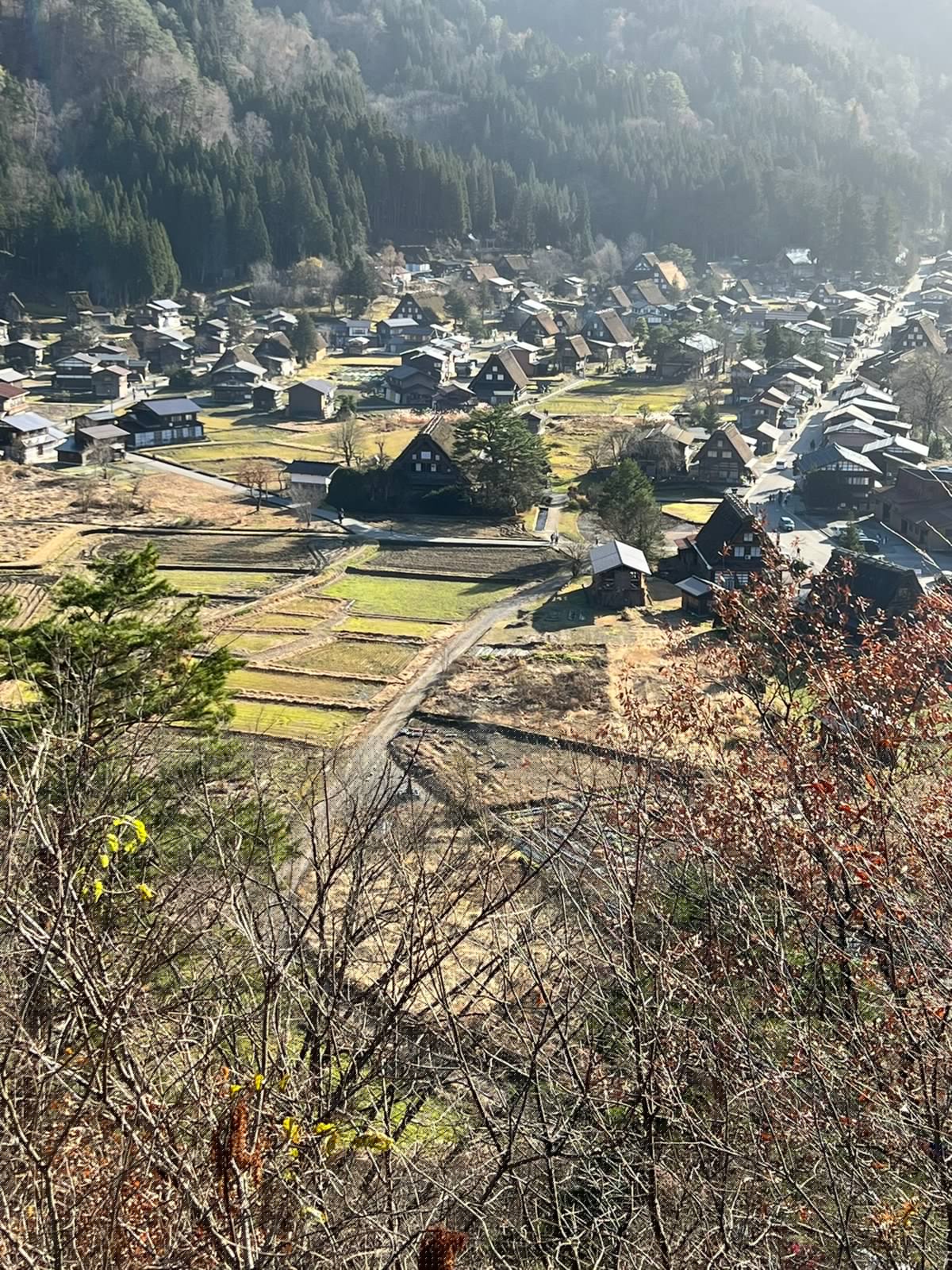 Village panorama without snow