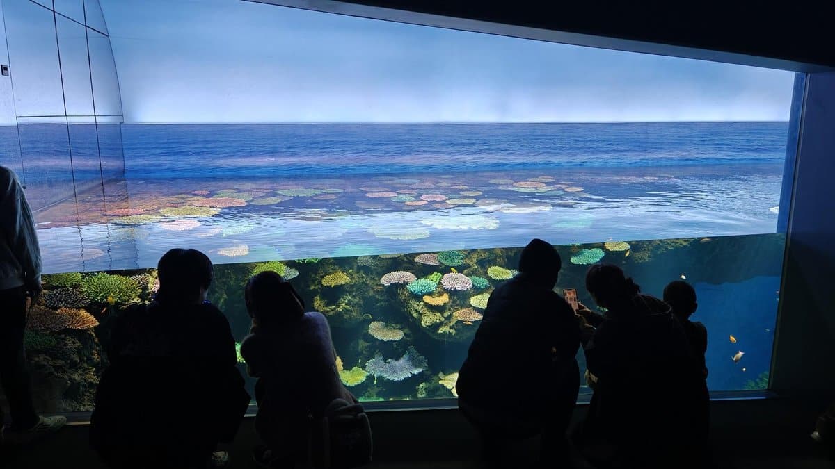 Visitors observing aquarium coral reef
