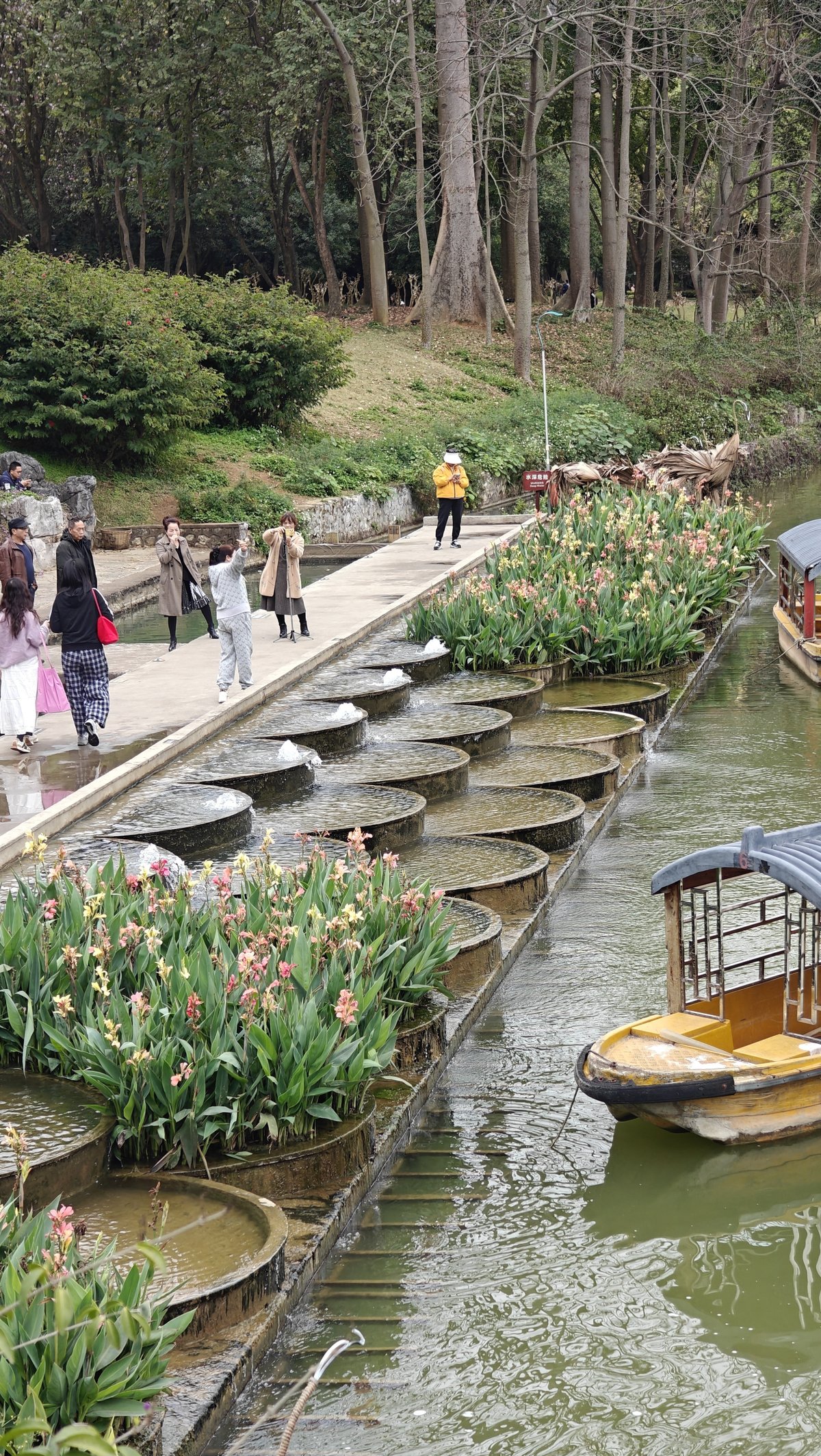 Waterfront platform flowering plants