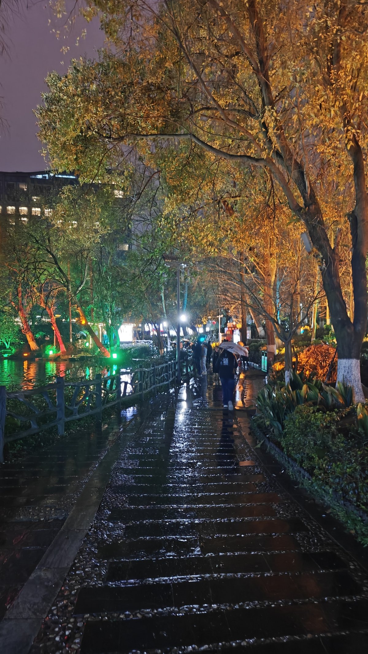 Wet pathway with lit trees rain