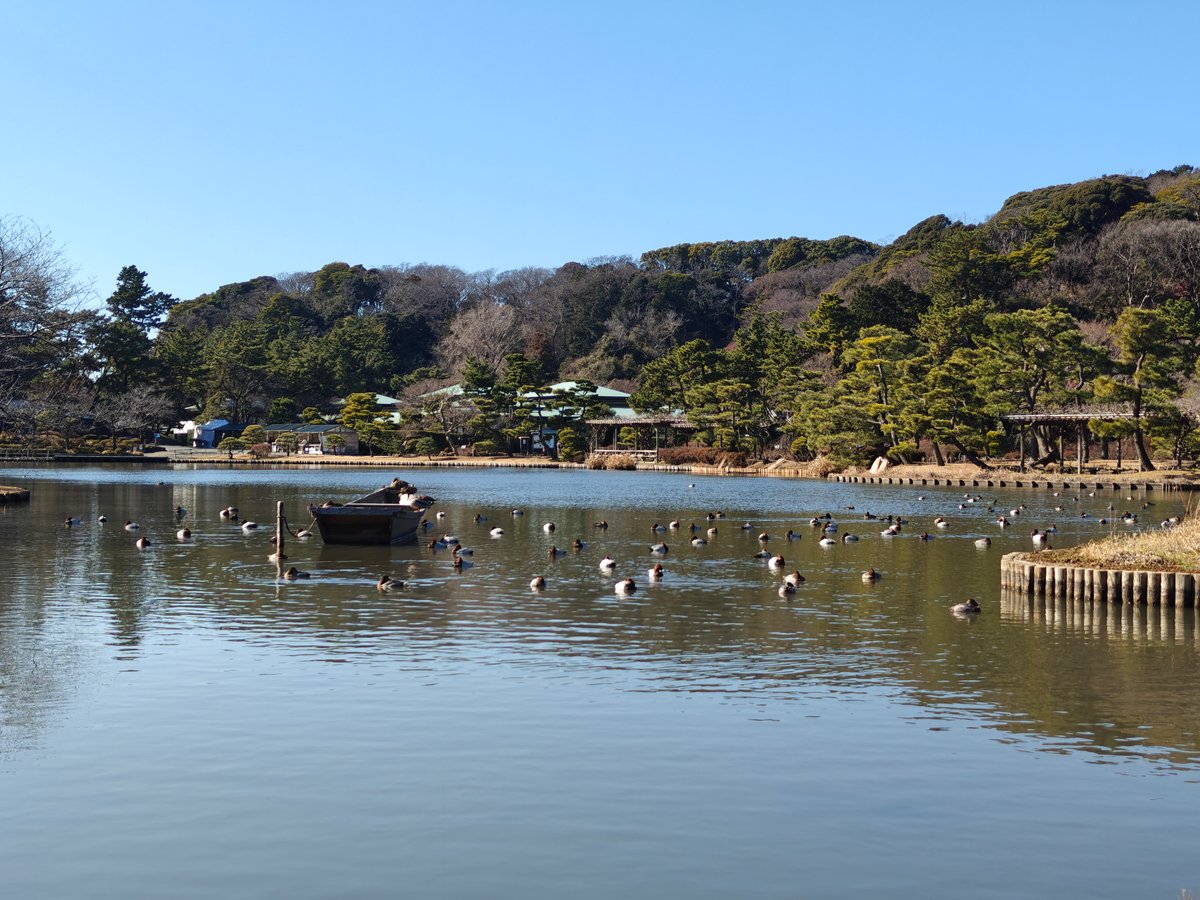 Wide pond with distant pagoda