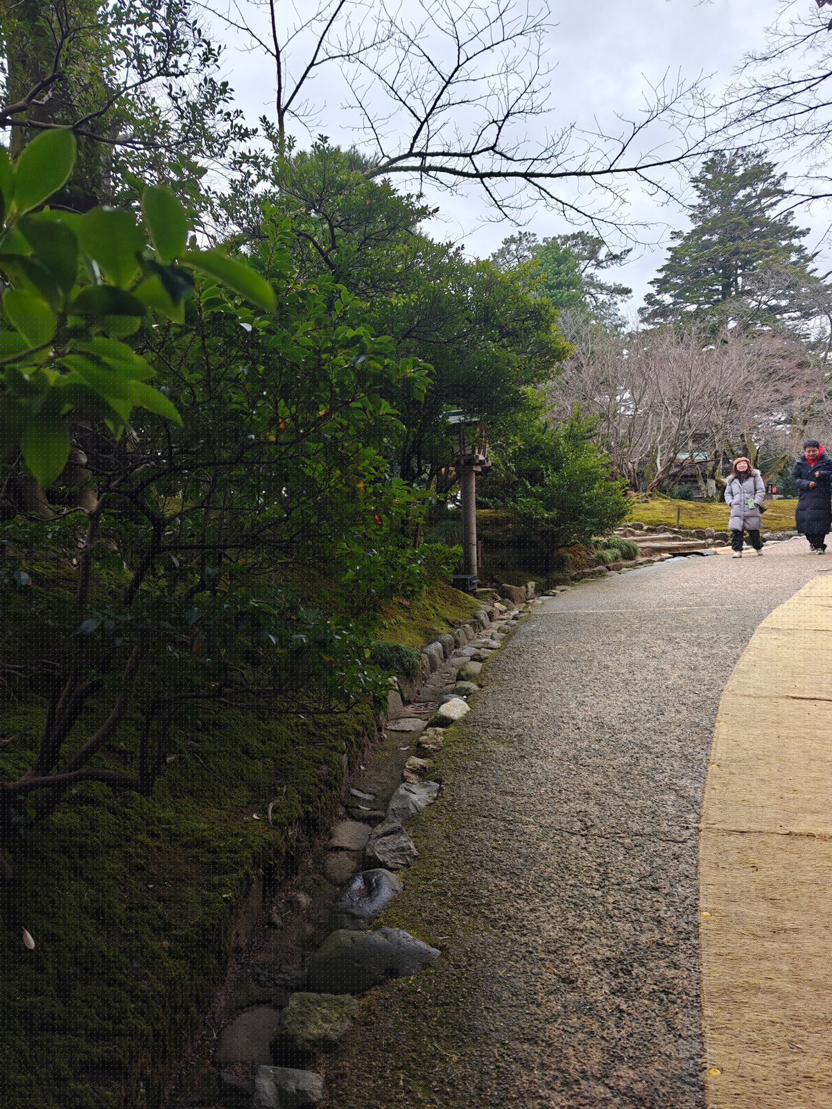 Winding winter garden path
