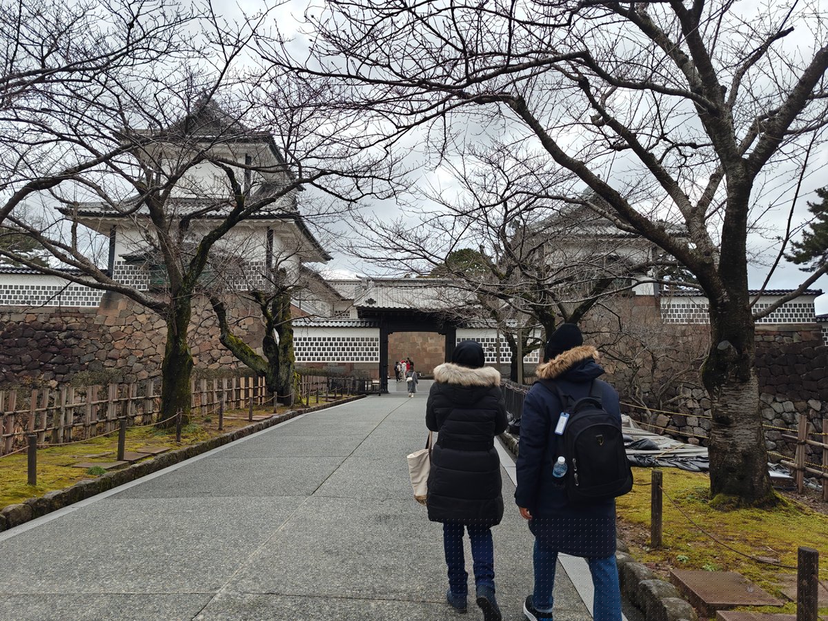 Winter path with bare cherry trees