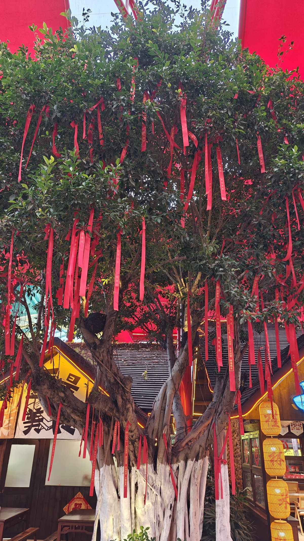 Wish tree red prayer ribbons